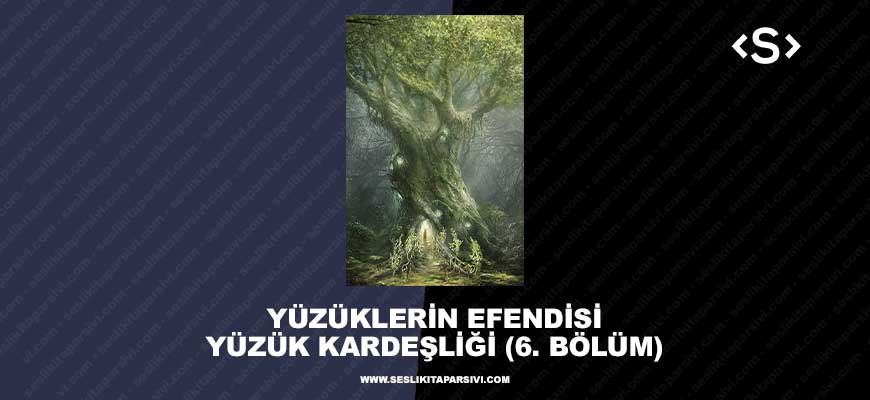 Yüzüklerin Efendisi – Yüzük Kardeşliği – (6. Bölüm) – Yaşlı Orman