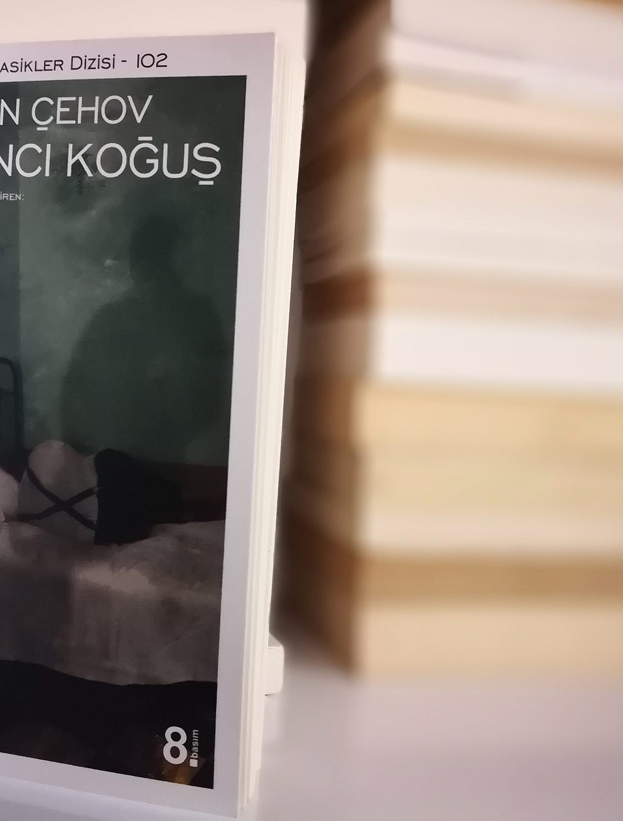 Altıncı Koğuş – Anton Çehov | Kitap Yorumu￼￼